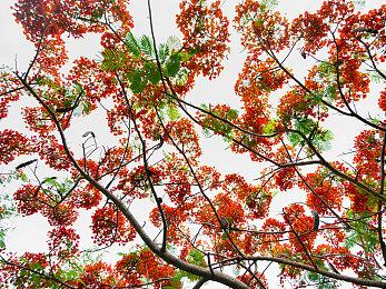 修仙卡牌游戏《弈仙牌》全新赛季今日打响，三位新角色加入牌局